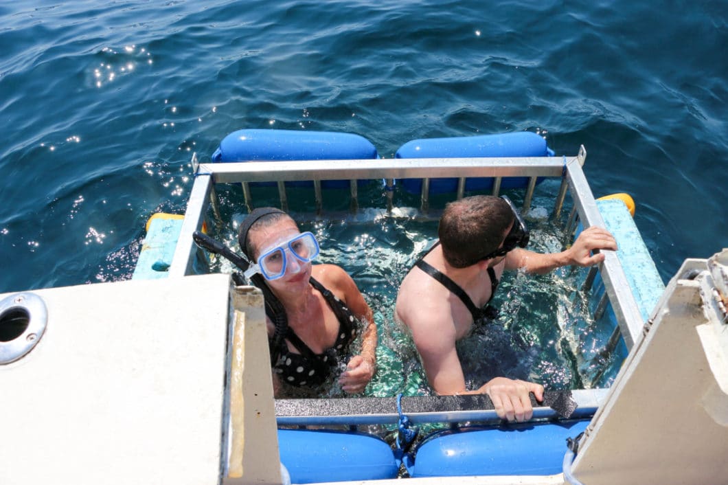 Shark cage diving