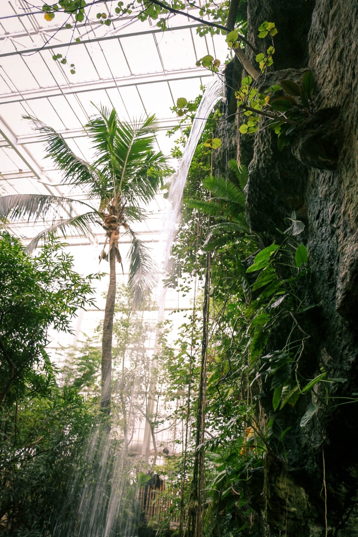 Dallas world aquarium