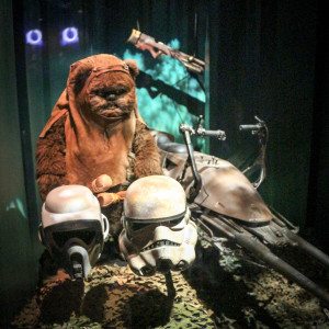 Ewok exhibit
