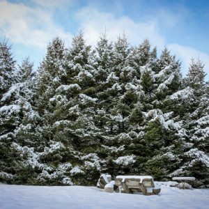 Wisconsin winter wonderland