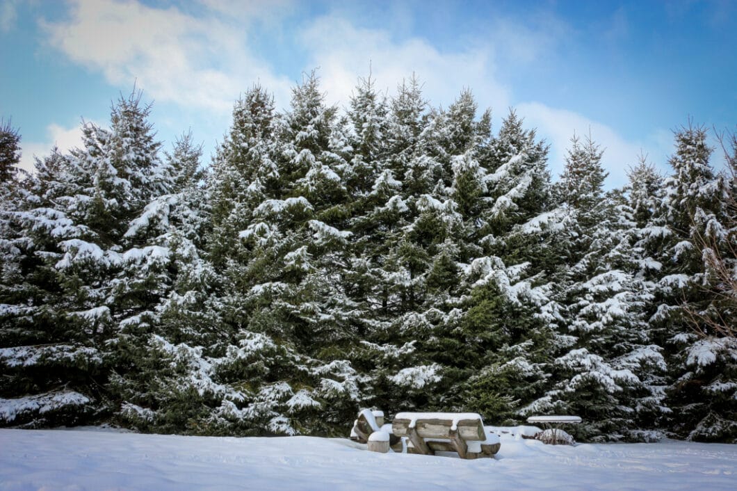 Wisconsin winter wonderland