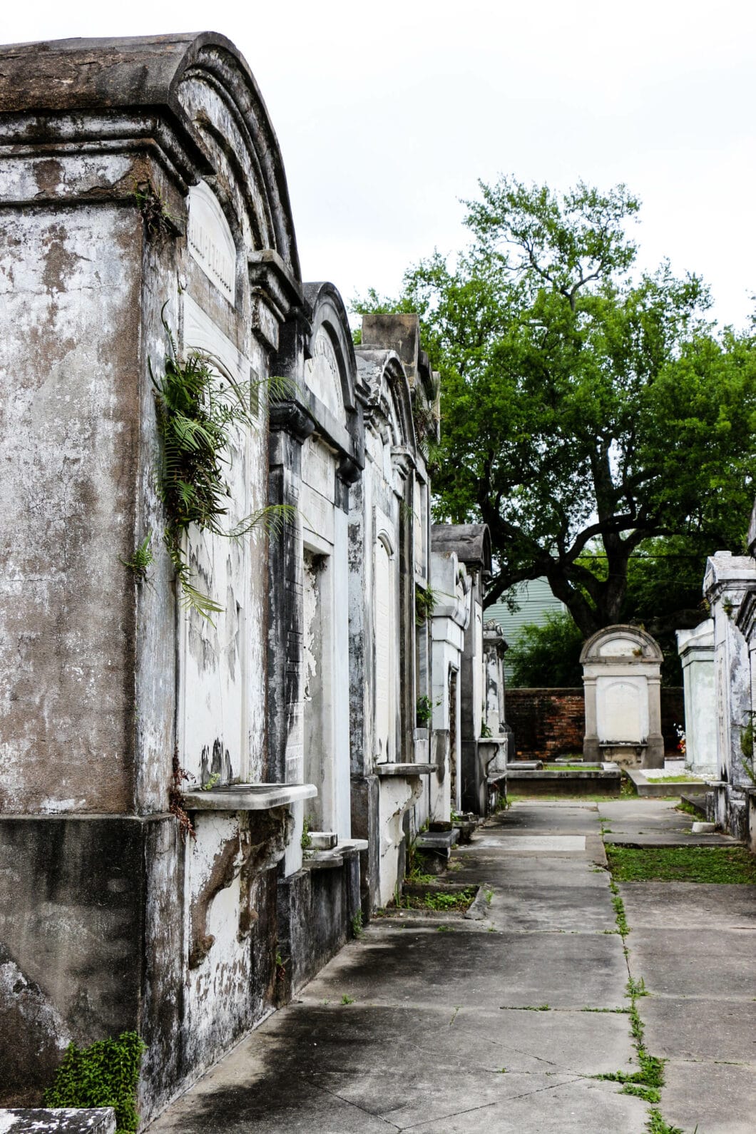 10 Quirky Things To Do in New Orleans