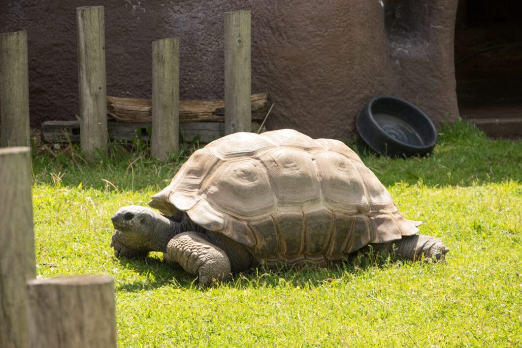 A Day at the NEW Zoo in Suamico, Wisconsin