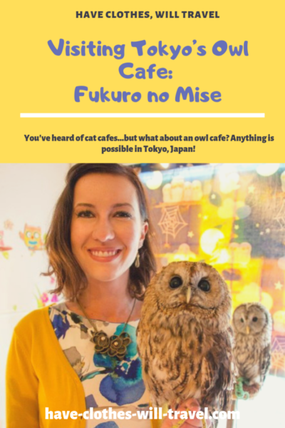Visiting Tokyo’s Owl Cafe: Fukuro no Mise