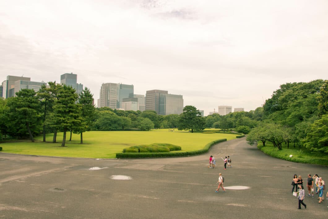 The view from the main tower