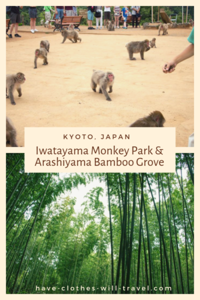 Visiting Iwatayama Monkey Park & Arashiyama Bamboo Grove in Kyoto