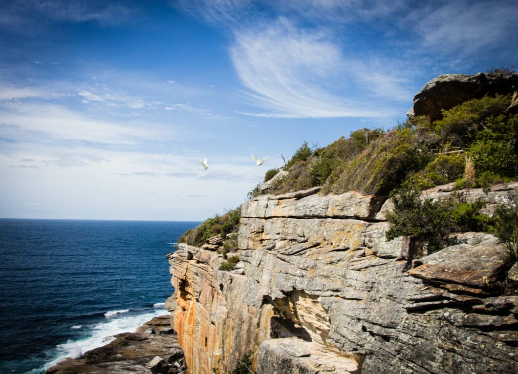 manly beach