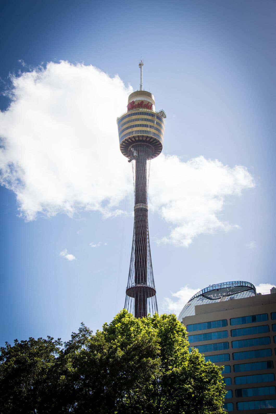 The Sydney Tower Eye