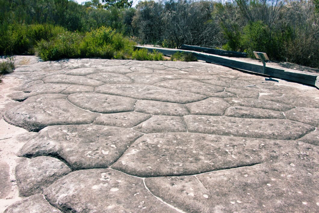 Bushwalks Outside of Sydney - Ku-ring-gai Chase National Park & The Blue Mountains