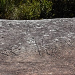 Aboriginal engravings