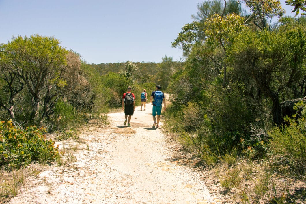 Bushwalks Outside of Sydney - Ku-ring-gai Chase National Park & The Blue Mountains