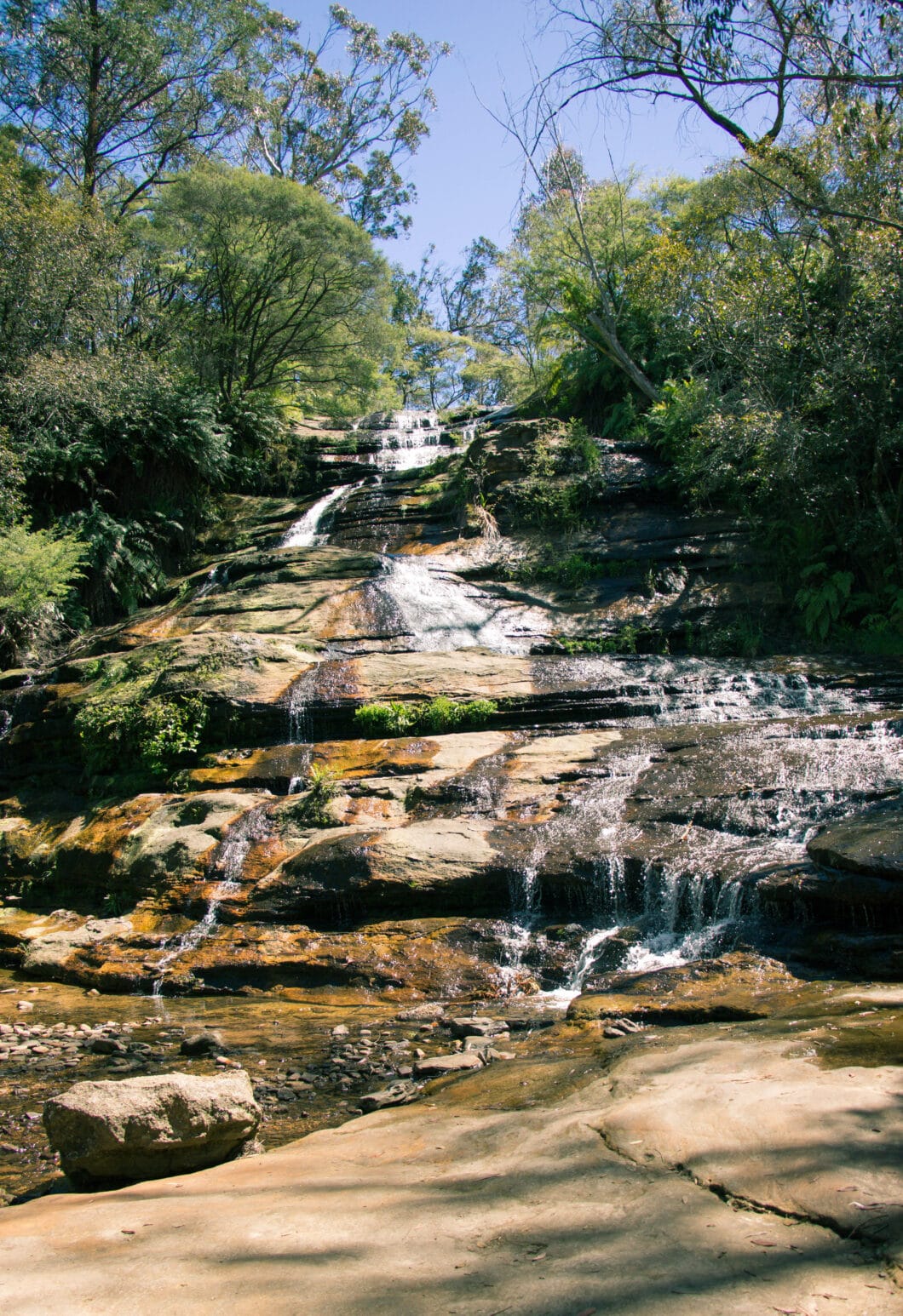 Blue Mountains