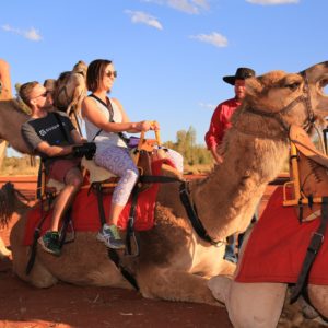 camel ride uluru