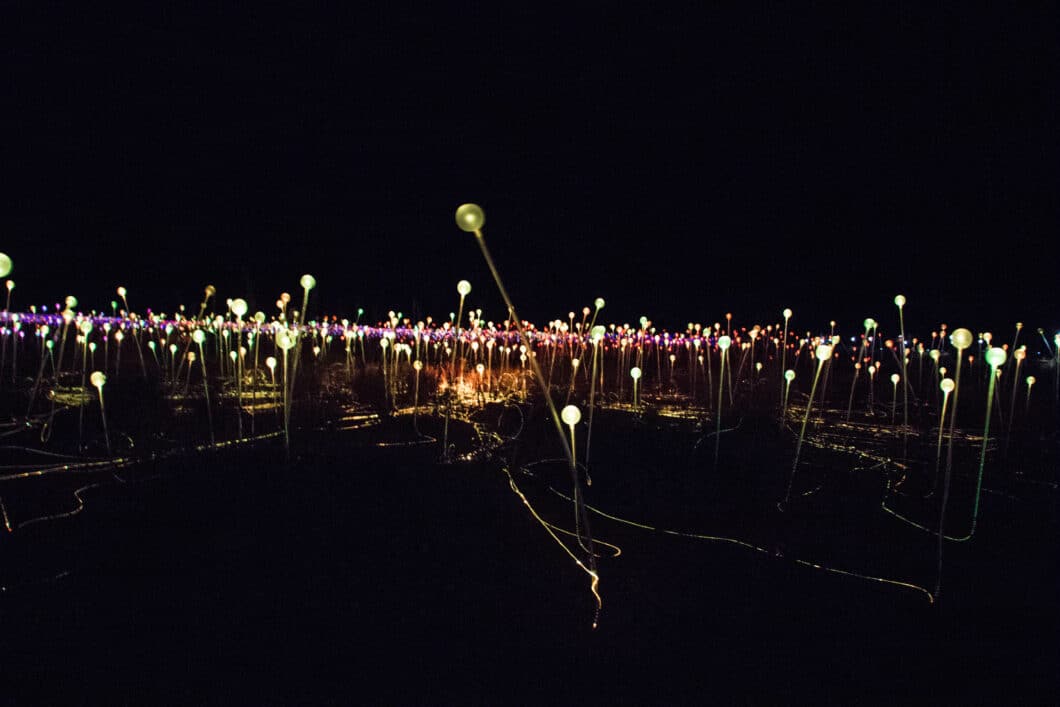 night at a field of light