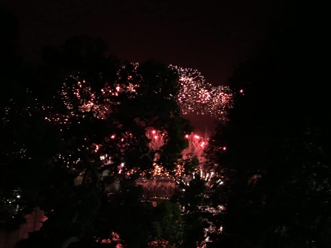 Watching Sydney’s NYE Fireworks from Mrs Macquaries Point