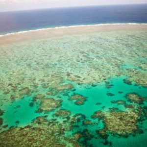 the great barrier reef from above