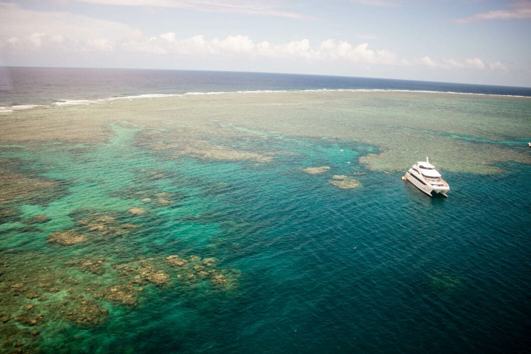 The BEST Great Barrier Reef Tour in Cairns, Australia + What to Know Before You Go