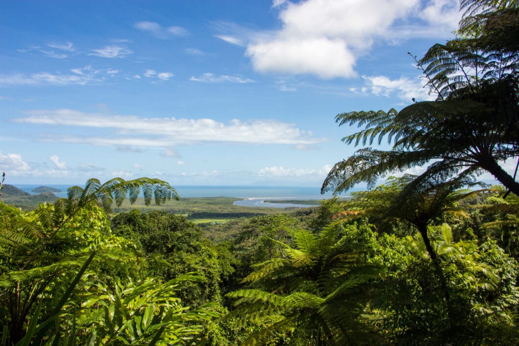 cape trib