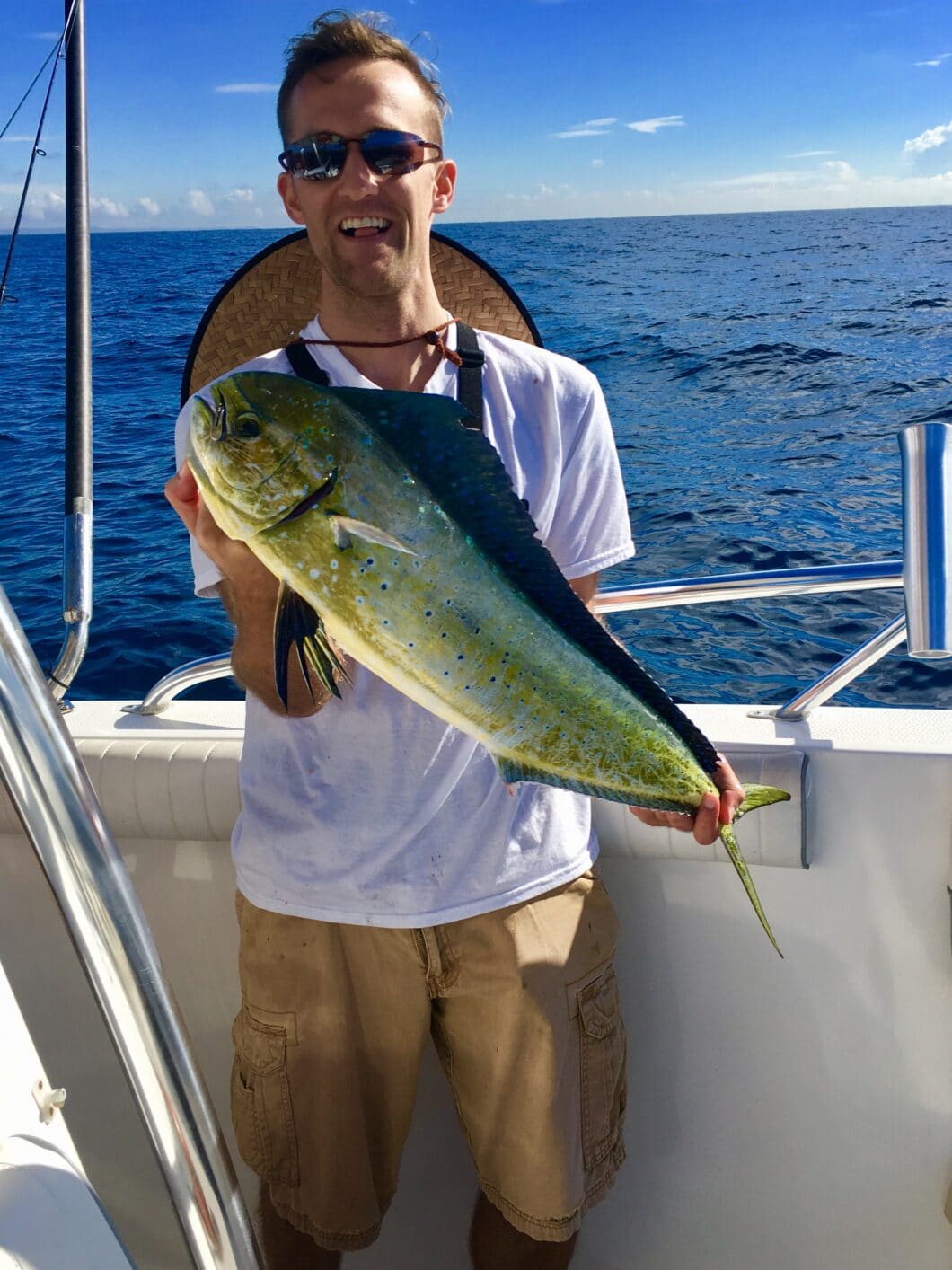 mahi-mahi