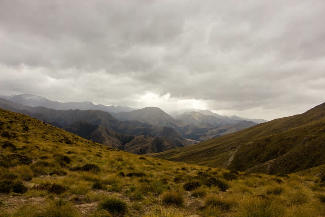 Ben lomond saddle