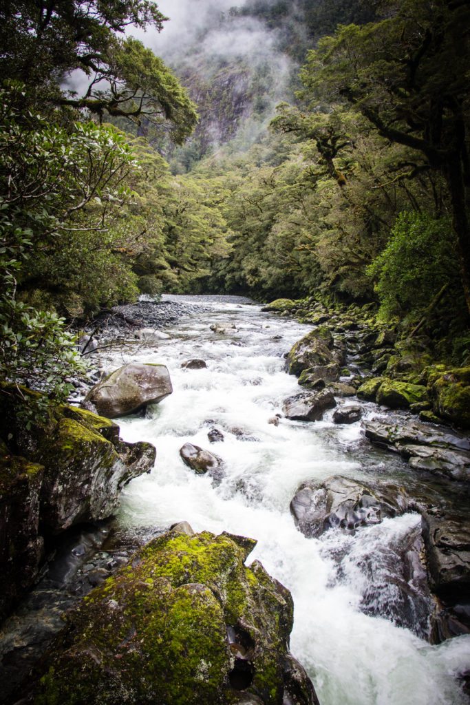 Fiordland National Park