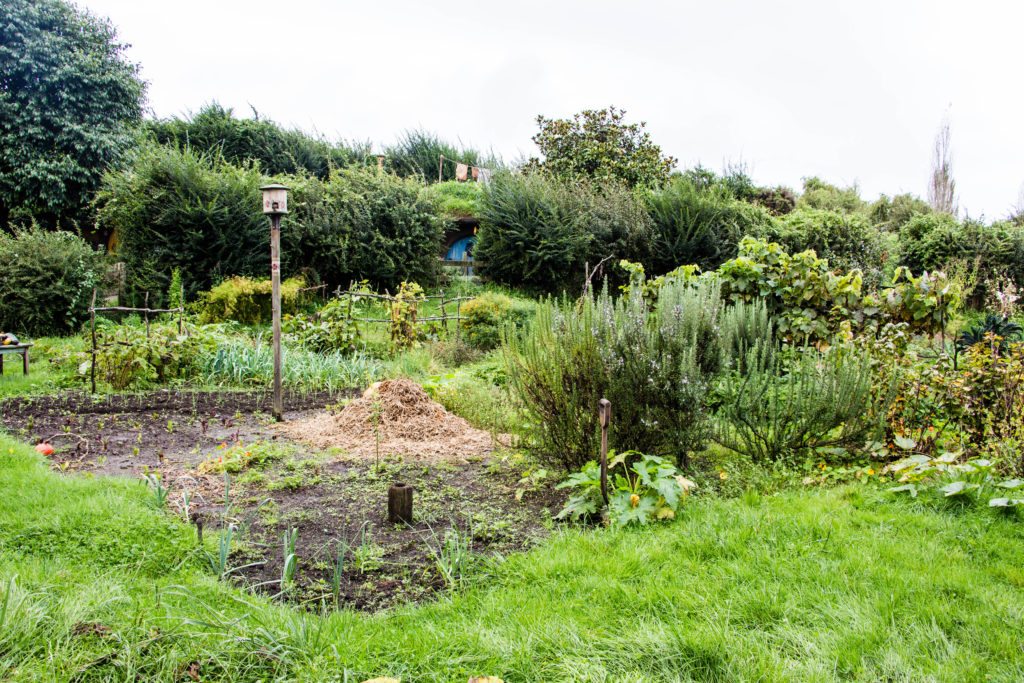 Hobbiton garden