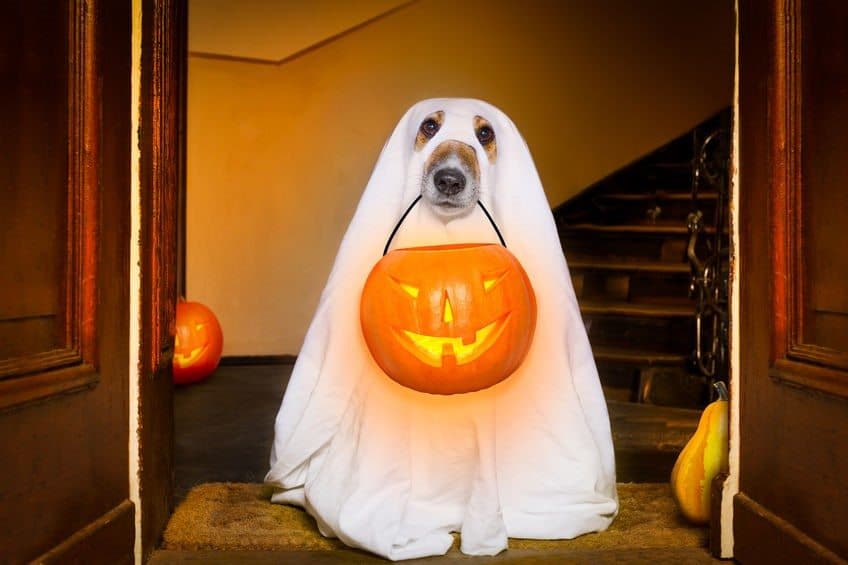 11 Funny, Last-Minute Halloween Costume Ideas