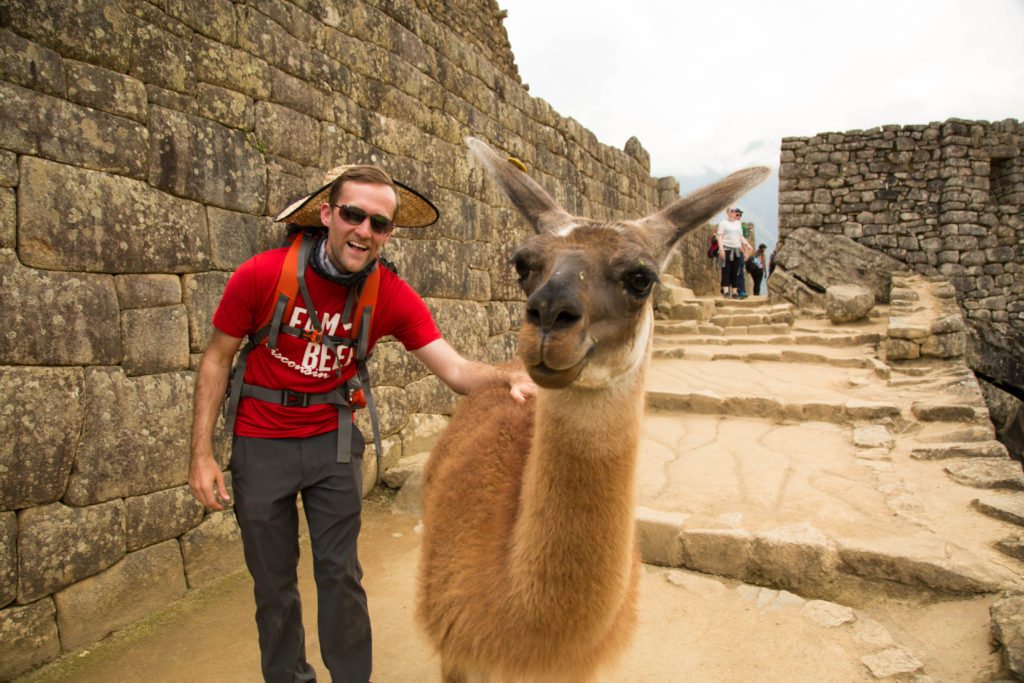Zac wearing a red shirt and grey Eddie Bauer travel  pants posing with a llama at Machu Picchu