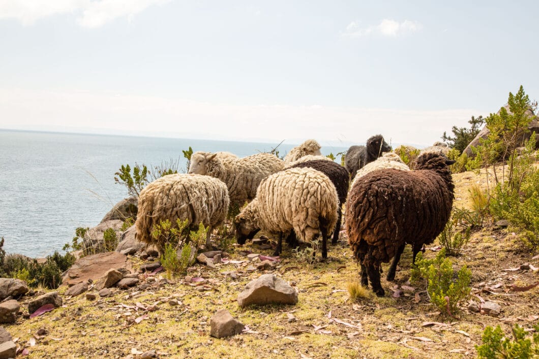 Taquile Island 