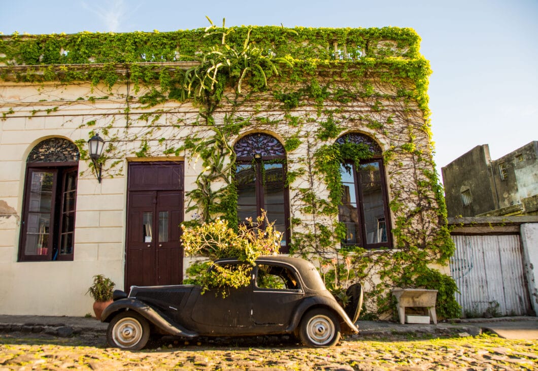 Colonia del Sacramento old car with flowers growing out of it