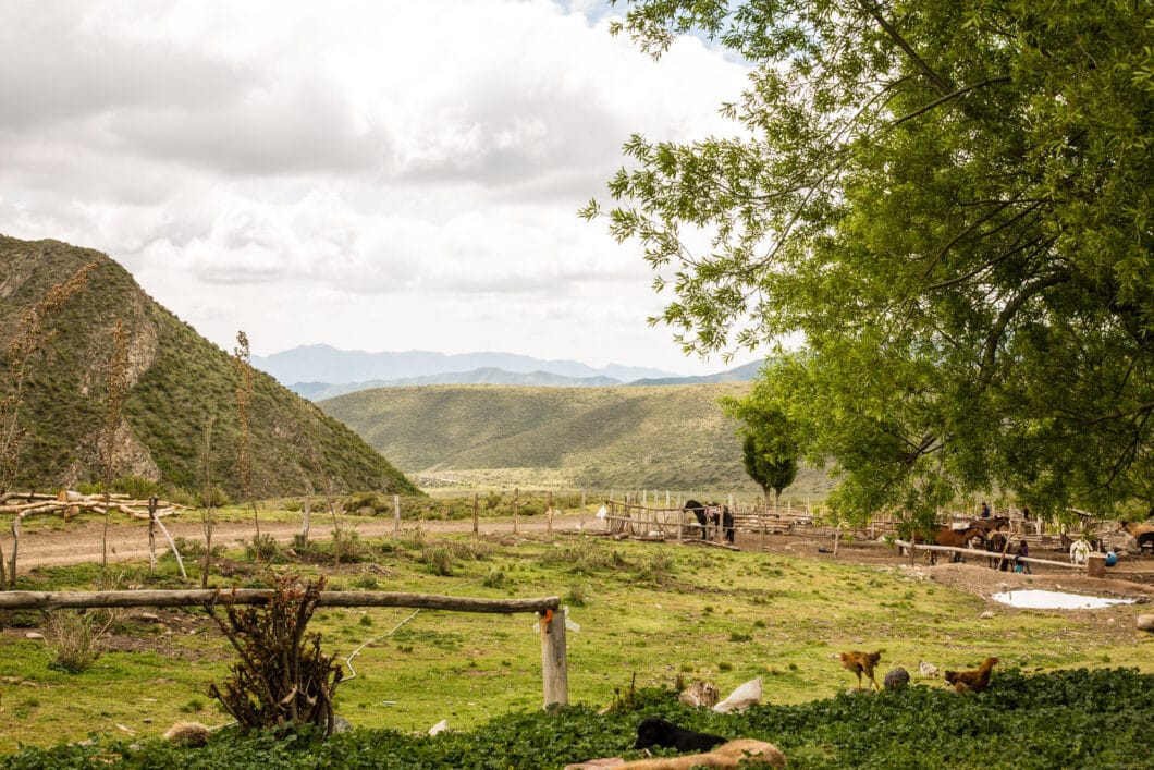 The view from Don's ranch.