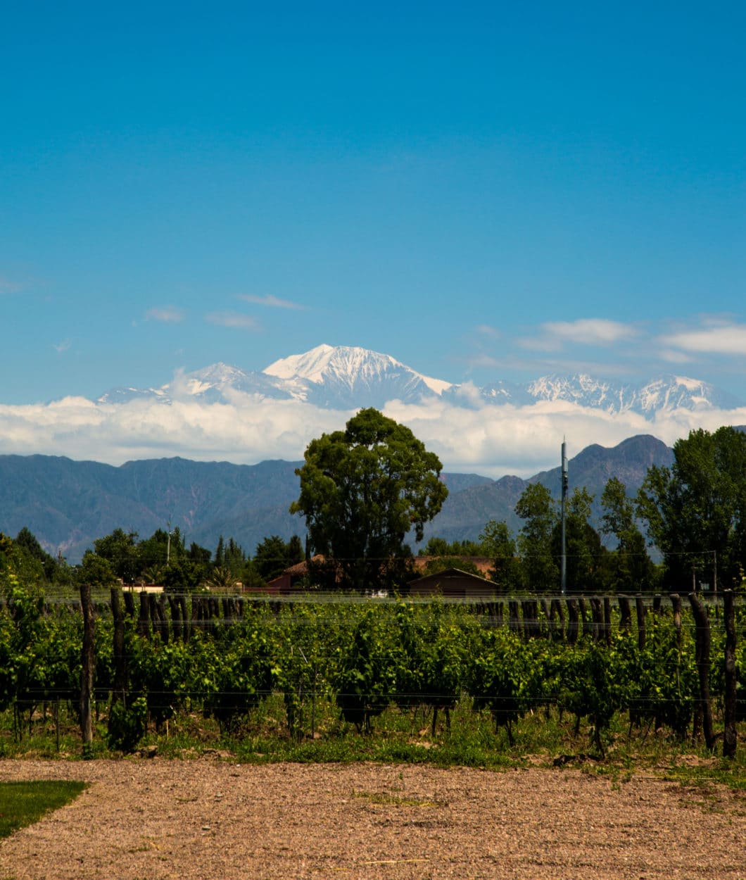 Wine Tasting & Biking in Mendoza, Argentina – Is It a Good Idea?