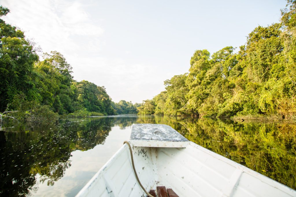 A boat is traveling down the Amazon river with trees in the background.