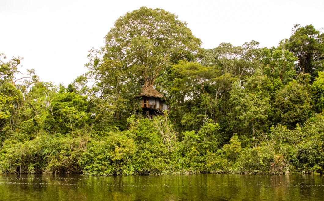 View of treehouse 10 from the river