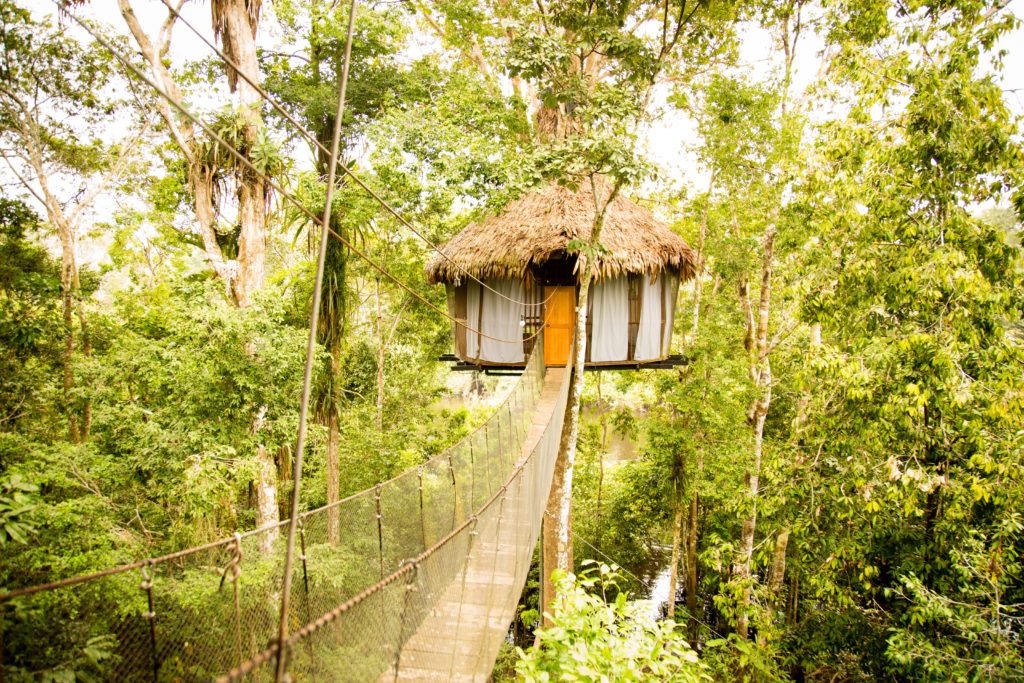 treehouse