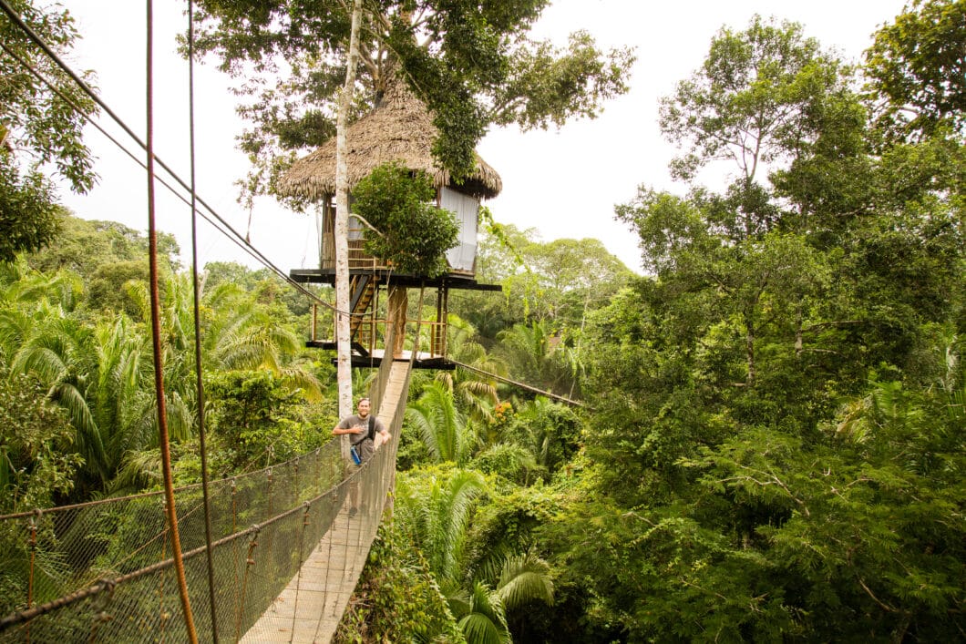 Casa Alta - the tallest treehouse at Treehouse Lodge!