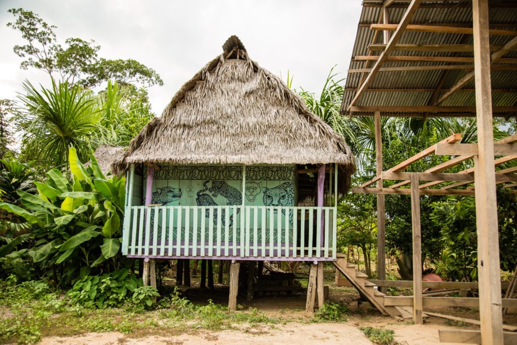 We saw this interesting home with hand painting in a village in Amazon 
