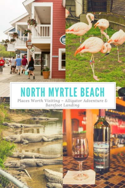 North Myrtle Beach Places Worth Visiting – Alligator Adventure & Barefoot Landing