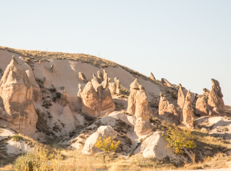 the hand in Imaginary Valley