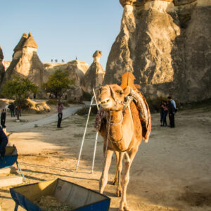 Pasabag in Cappadocia