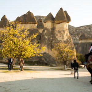 Pasabag in Cappadocia