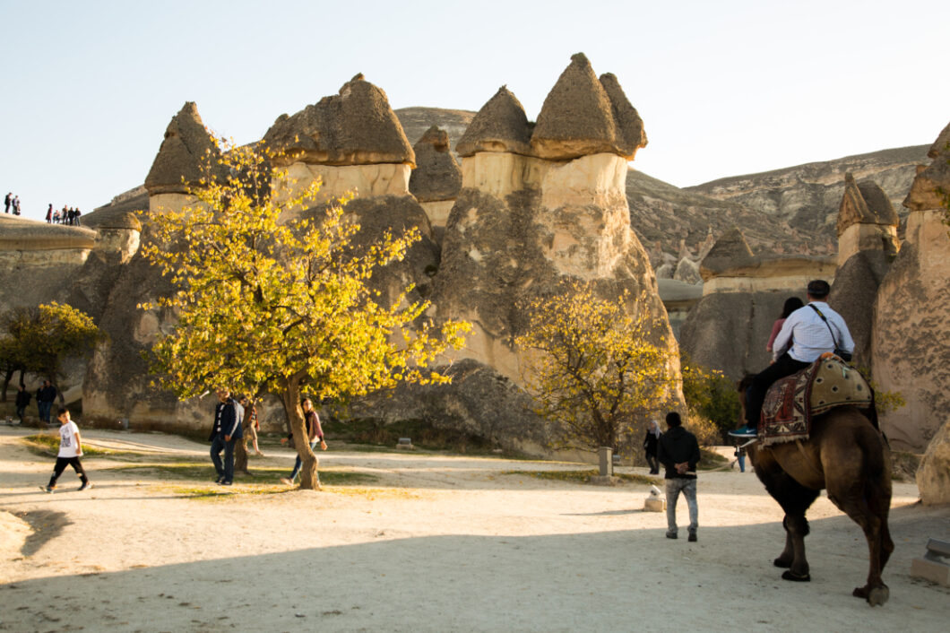 Pasabag in Cappadocia, unique mushroom shaped rock formations with a camel walking in front of the formations