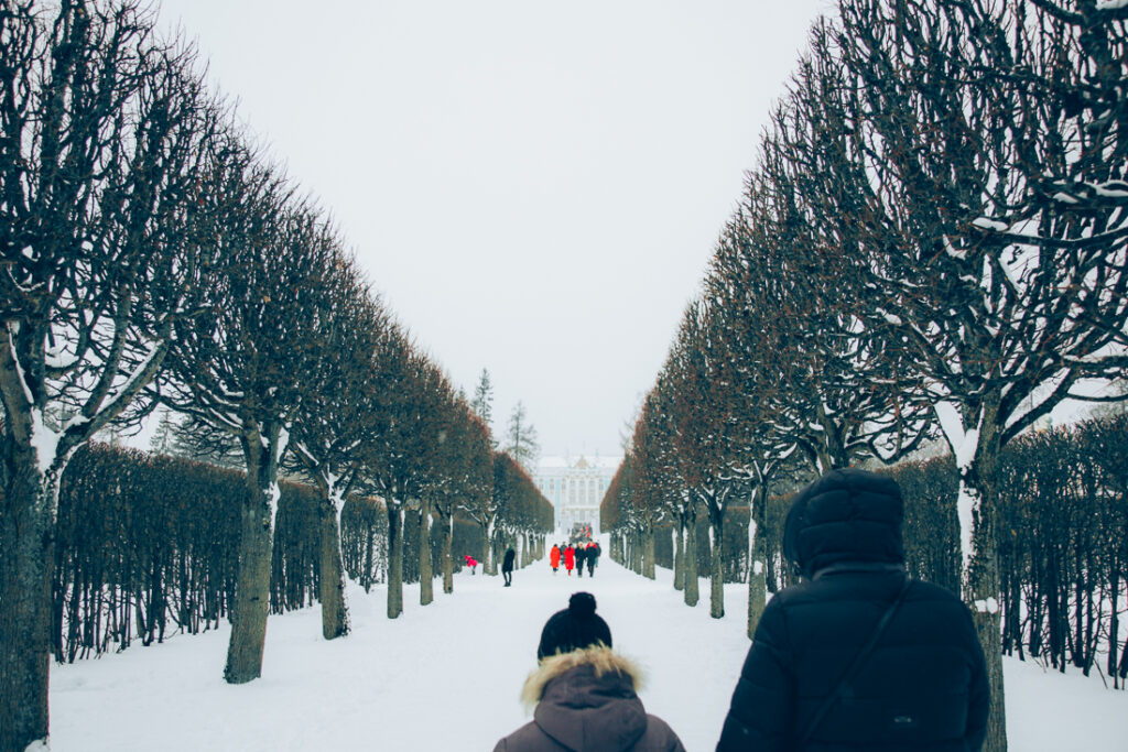 A couple walks down a walkway lined with naked trees on a snowy day in Russia.