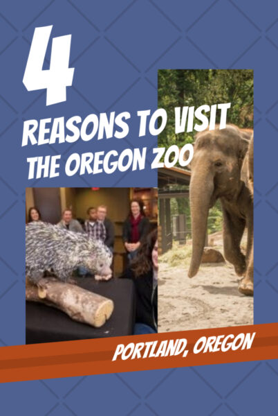 4 Great Reasons to Spend the Day at the Oregon Zoo
