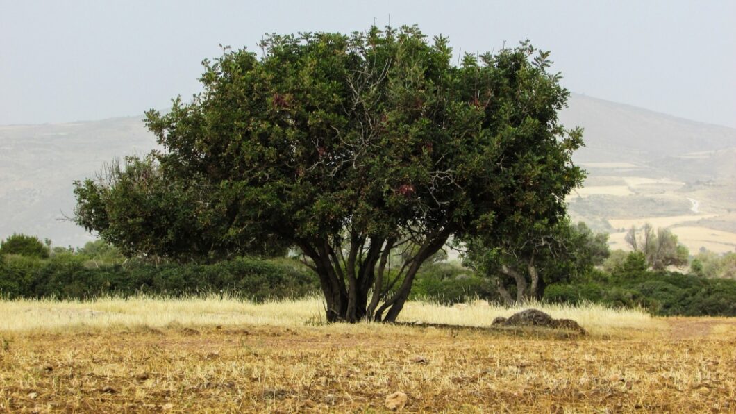 Akamas National Park