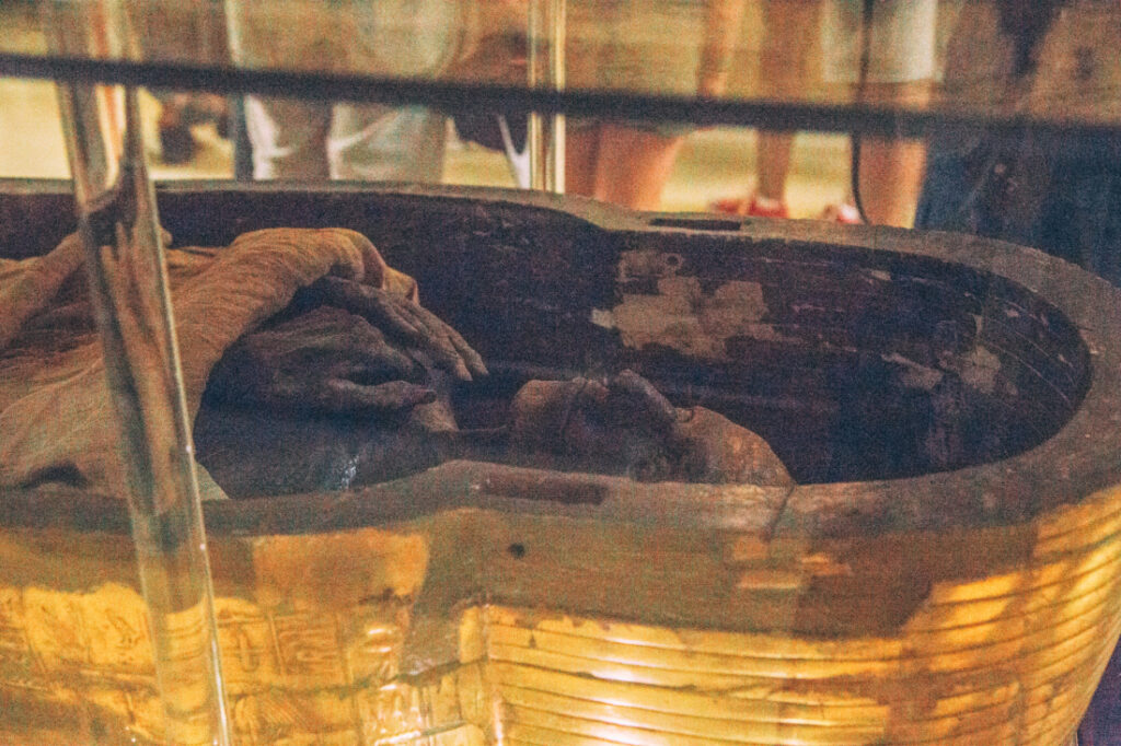 A closer image of a mummified Egyptian noble laying in an opened, uncovered sarcophagus displayed inside a glass display case. 