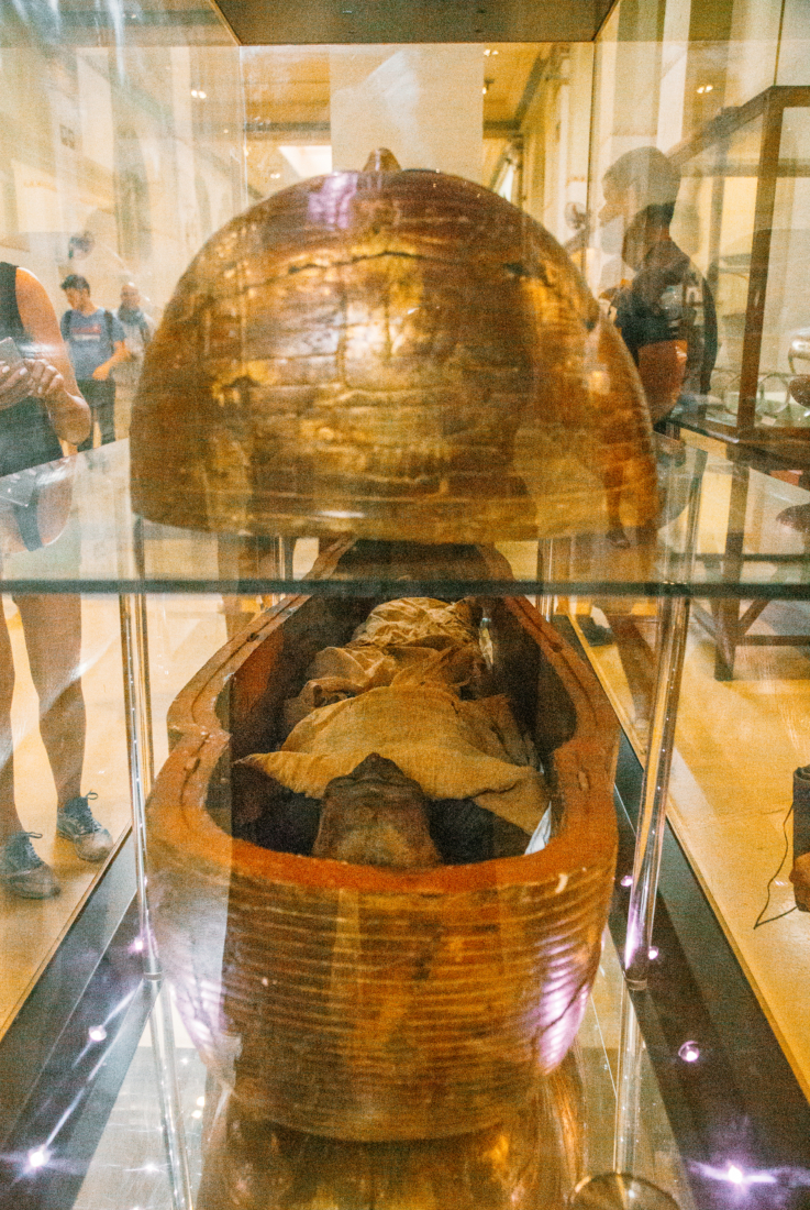 A photo of a mummy inside an ornate golden sarcophagus displayed in a glass display case at the Egyptian Museum in Cairo.