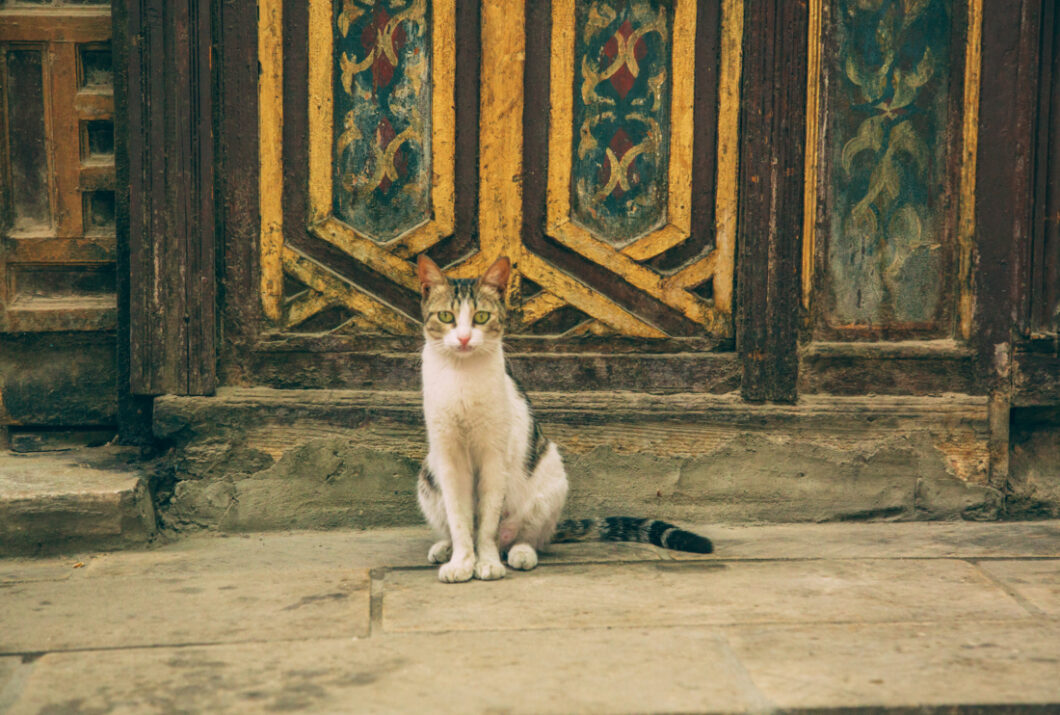 Khan El Khalili Bazaar