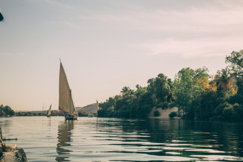 Feluccas sail along the Nile river along the Nubian Village. The riverbed is lined with lush trees and vegetation.