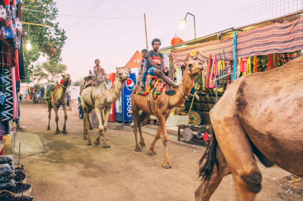 Nubian locals ride camels down the dirt streets of the Nubian Village in Aswan.